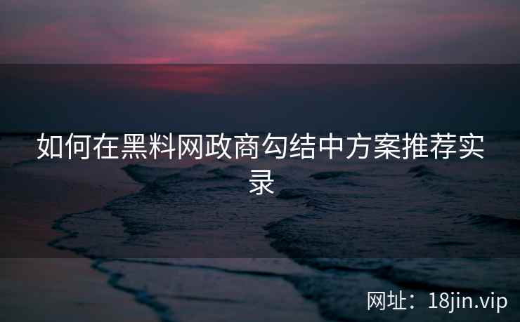 如何在黑料网政商勾结中方案推荐实录