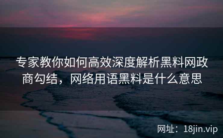 专家教你如何高效深度解析黑料网政商勾结，网络用语黑料是什么意思