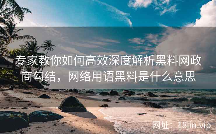 专家教你如何高效深度解析黑料网政商勾结，网络用语黑料是什么意思