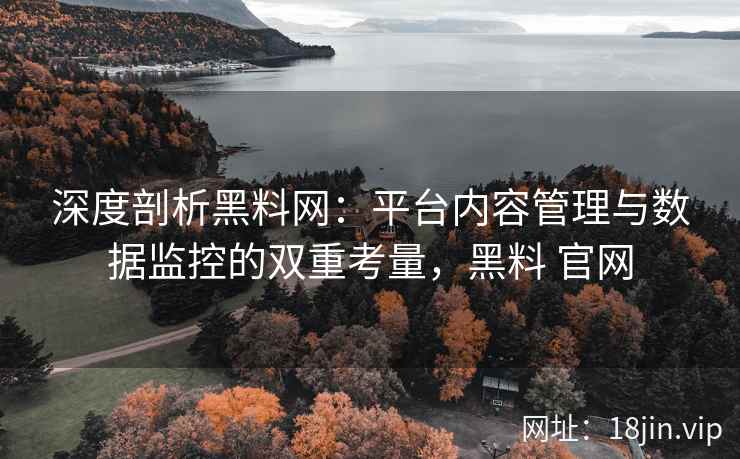 深度剖析黑料网：平台内容管理与数据监控的双重考量，黑料 官网