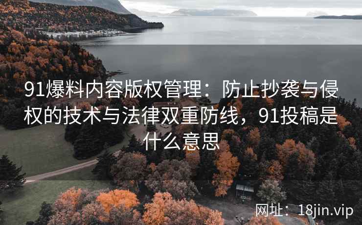 91爆料内容版权管理：防止抄袭与侵权的技术与法律双重防线，91投稿是什么意思