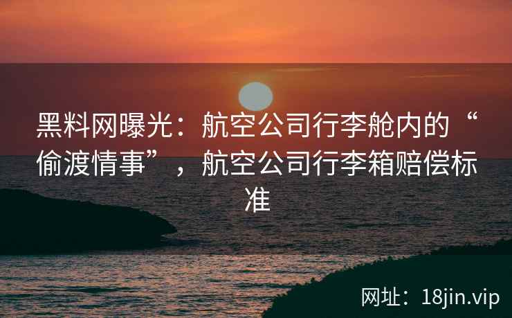 黑料网曝光：航空公司行李舱内的“偷渡情事”，航空公司行李箱赔偿标准