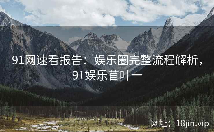 91网速看报告：娱乐圈完整流程解析，91娱乐苜叶一