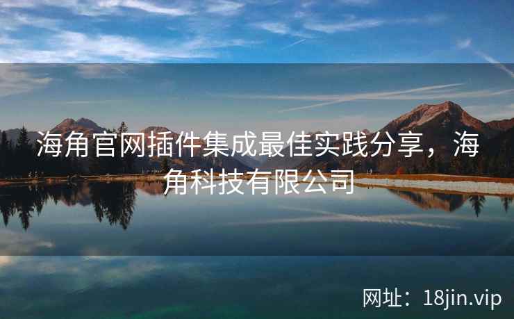 海角官网插件集成最佳实践分享，海角科技有限公司