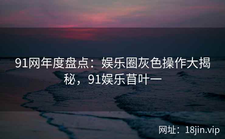 91网年度盘点：娱乐圈灰色操作大揭秘，91娱乐苜叶一
